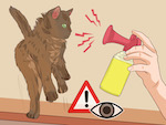 Stop-a-Kitten-wikihow