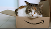 cat-box-perfect-fit